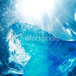 stock-photo-17745985-costume-mermaid-tail